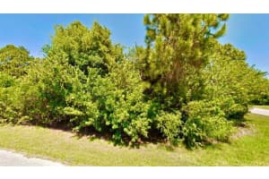 12142 Joyner Avenue, Port Charlotte, FL 33953 - MLS#R11052005