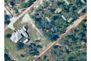 2339 N Thomsen Road, Avon Park, FL 33825 Sold 06/30/25