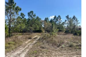 1247 Brunell Avenue, Fort Myers, FL 33913 - MLS#R11052120