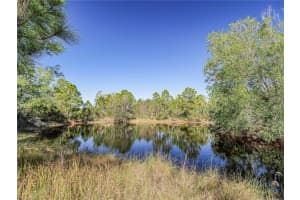 MLS# R11052850, Fellsmere, Florida 32948