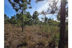 MLS# R11053165, Okeechobee, Florida 34972