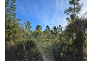 MLS# R11053165, Okeechobee, Florida 34972