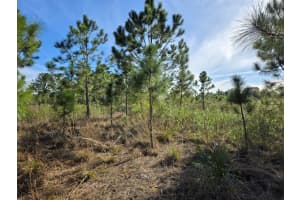 MLS# R11053165, Okeechobee, Florida 34972