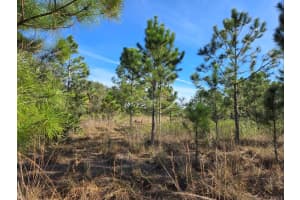 MLS# R11053165, Okeechobee, Florida 34972