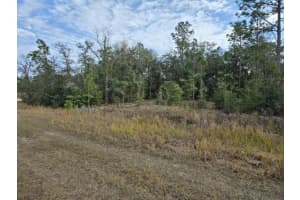 0 SW 90th Place, Dunnellon, FL 34432 Sold 03/07/25