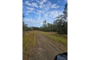 0 SW 90th Place, Dunnellon, FL 34432 Sold 03/07/25