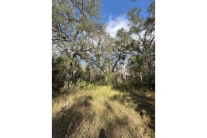 10475 E Hwy 316, Fort Mc Coy, FL 32134 Sold 01/30/25