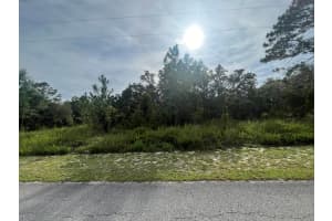 0 SW Sandspoint, Dunnellon, FL 34431 Sold 04/14/25