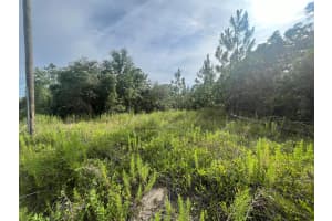 0 SW Sandspoint, Dunnellon, FL 34431 Sold 04/14/25