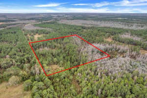 000 No Street, Polk City, FL 33868 - MLS#R11054500