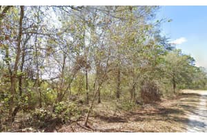 755 Lynbrook, Lake Placid, FL 33852 Sold 05/02/25