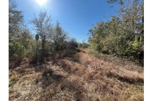 MLS# R11054818, Lake Placid, Florida 33852