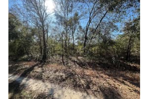 MLS# R11054818, Lake Placid, Florida 33852