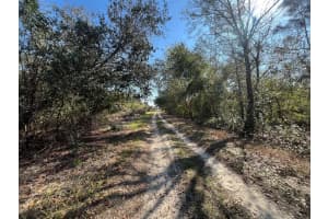 MLS# R11054818, Lake Placid, Florida 33852