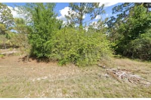 1258 Bowles Avenue, Fort Myers, FL 33913 Sold 03/13/25