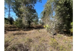 1258 Bowles Avenue, Fort Myers, FL 33913 Sold 03/13/25