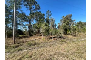 1258 Bowles Avenue, Fort Myers, FL 33913 Sold 03/13/25