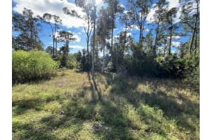 8551 Buckingham Road, Fort Myers, FL 33905 Sold 03/02/25