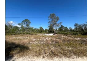 203 Raven Avenue, Sebring, FL 33870 Sold 08/15/25