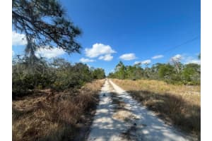 203 Raven Avenue, Sebring, FL 33870 Sold 08/15/25