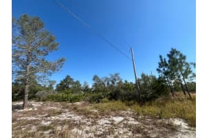 203 Raven Avenue, Sebring, FL 33870 Sold 08/15/25