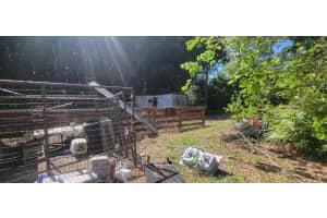 13146 154th Place N, Jupiter, FL 33478 Sold 03/27/25