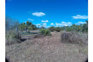 15943 NW 252nd Street, Okeechobee, FL 34972 Sold 04/14/25