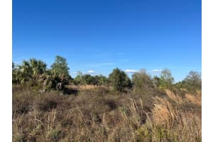 14675 NW 270th Street, Okeechobee, FL 34972 Sold 02/23/25