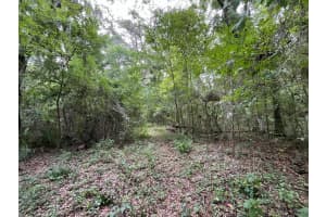 Tbd NW 65th Street, Ocala, FL 34475 - MLS#R11061364