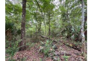 Tbd NW 65th Street, Ocala, FL 34475 - MLS#R11061364