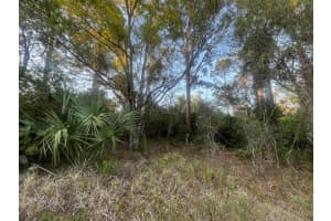 3966 NW 24th Avenue, Okeechobee, FL 34972 Sold 05/12/25