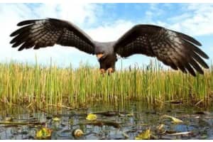 MLS# R11061651, Okeechobee, Florida 34972