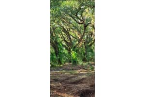 18239 NW 254th Street, Okeechobee, FL 34972 Sold 06/02/25