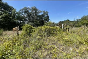 20174 NW 300th Street, Okeechobee, FL 34972 Sold 06/20/25