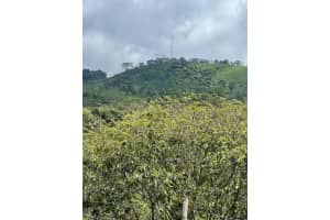 Colombia El Hatillo, Mariquita, Tol, Co Other, FL 00000 - MLS#R11065162