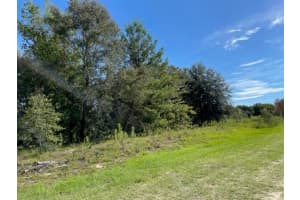 Tbd 104th Street, Dunnellon, FL 34432 - MLS#R11065840