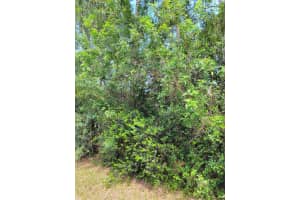 ### 133rd Trl N, Jupiter, FL 33478 - MLS#R11066109