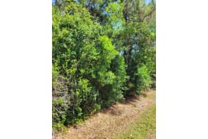 ### 133rd Trl N, Jupiter, FL 33478 - MLS#R11066109