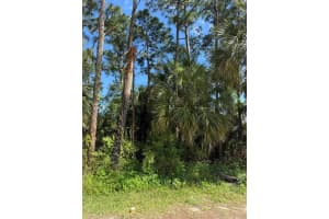 766 12th Avenue SW, Vero Beach, FL 32962 Sold 03/14/25