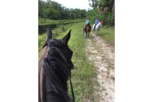 1278 Arabian Drive, Loxahatchee, FL 33470 Sold 04/15/25