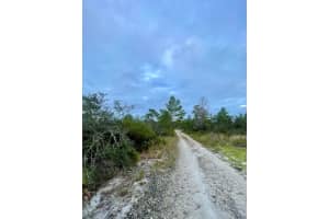 3438 Alachua Avenue, Sebring, FL 33875 Sold 06/20/25