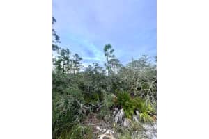 3438 Alachua Avenue, Sebring, FL 33875 Sold 06/20/25