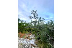 3434 Alachua Avenue, Sebring, FL 33875 Sold 06/27/25
