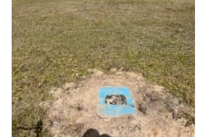 25330 Cadiz Drive, Punta Gorda, FL 33955 Sold 05/29/25