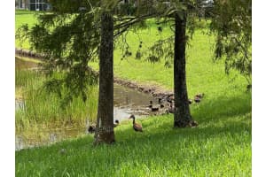 2430 SW Marshfield Court, Port Saint Lucie, FL 34953 Sold 06/23/25