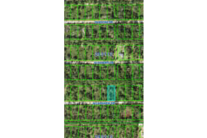 0 Allamanda Drive, Indian Lake Estates, FL 33855 Sold 06/02/25