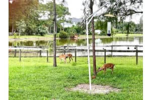 11707 Piping Plover Road, Lake Worth, FL 33449 Sold 06/16/25