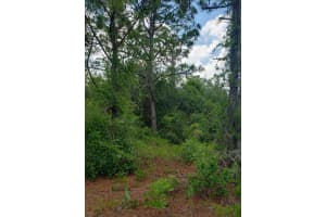 932 Island Parkway NE, Lake Placid, FL 33852 - MLS#R11071769