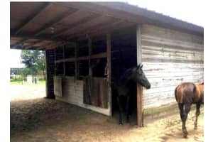 4375 Neff Lake Road Road, Brooksville, FL 34601 - MLS#R11071844