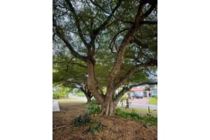 12540 SW 115th Avenue, Miami, FL 33176 Sold 06/09/25